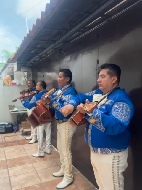 Video 11