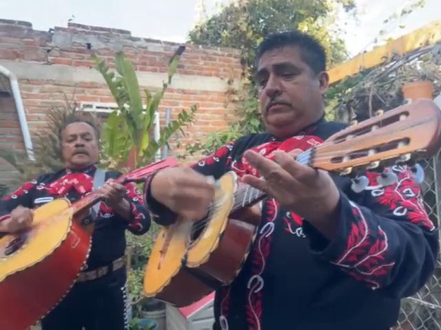Video 6